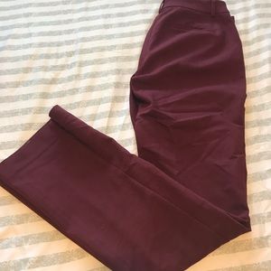 Express Columnist Wine/Maroon Dress Slacks